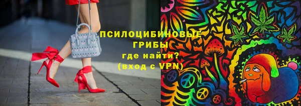 дурь Арсеньев