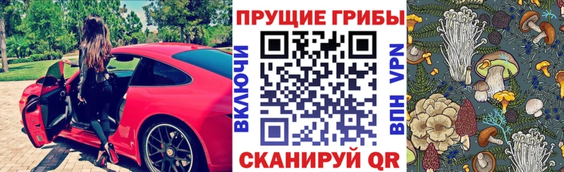 Галлюциногенные грибы MAGIC MUSHROOMS  нарко площадка официальный сайт  Приморск  купить  цена 
